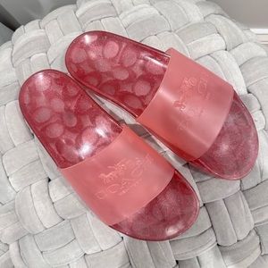 Pink Jelly Coach Glitter Slides